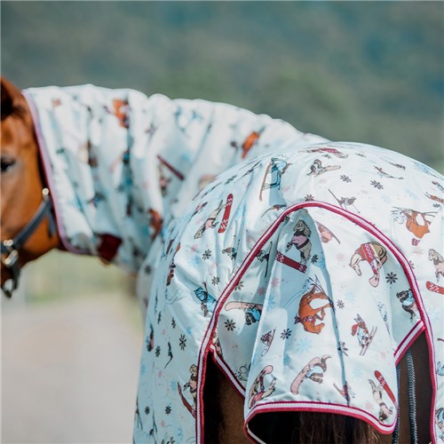 RUG5820 SKI-02